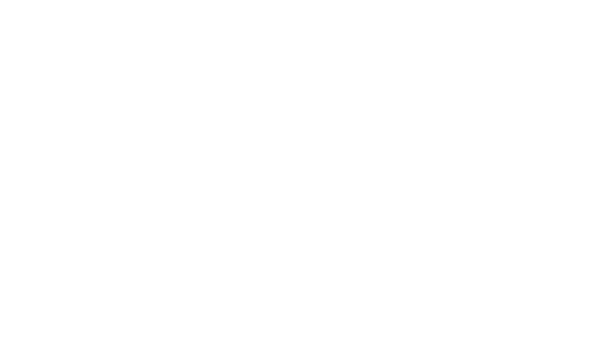 Die Brücke Logo